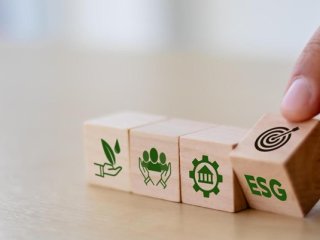 greenwashing